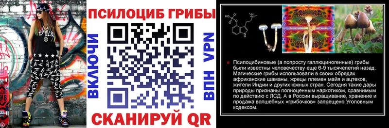 Галлюциногенные грибы Magic Shrooms наркота Волосово