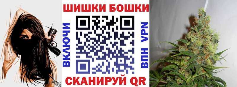 shop какой сайт  цены   Волосово  Канабис SATIVA & INDICA 